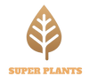 SUPER PLANTS